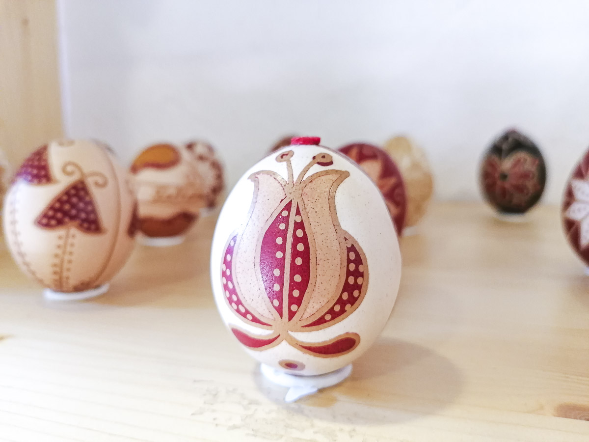 Boncina-Székely Szidónia